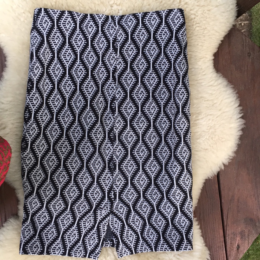 Zara Trafalno Skirt - Picture 2 of 3